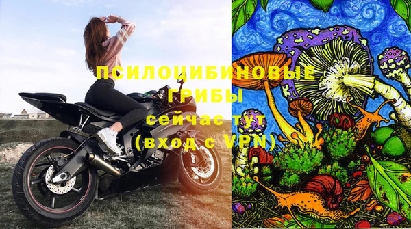 стафф Арсеньев