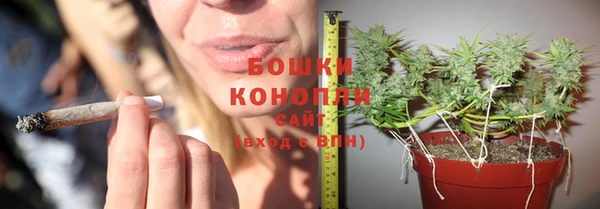 jwh Аркадак