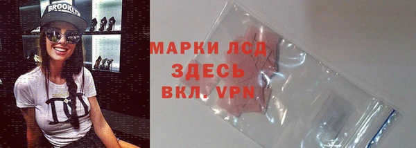 стафф Арсеньев