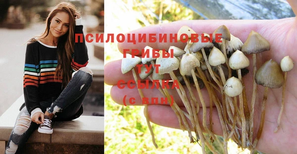 стафф Арсеньев